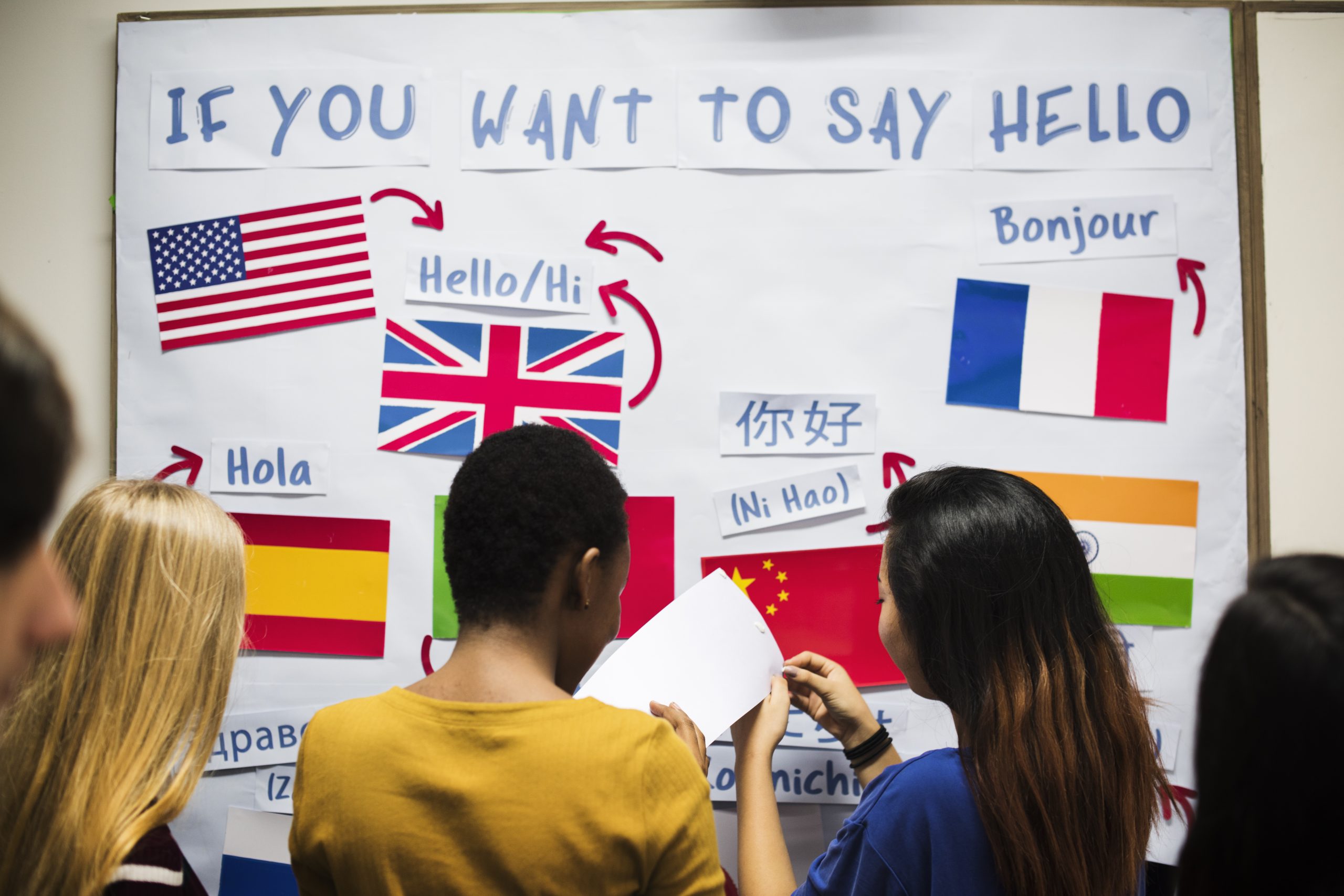 Understanding What a Translator Is