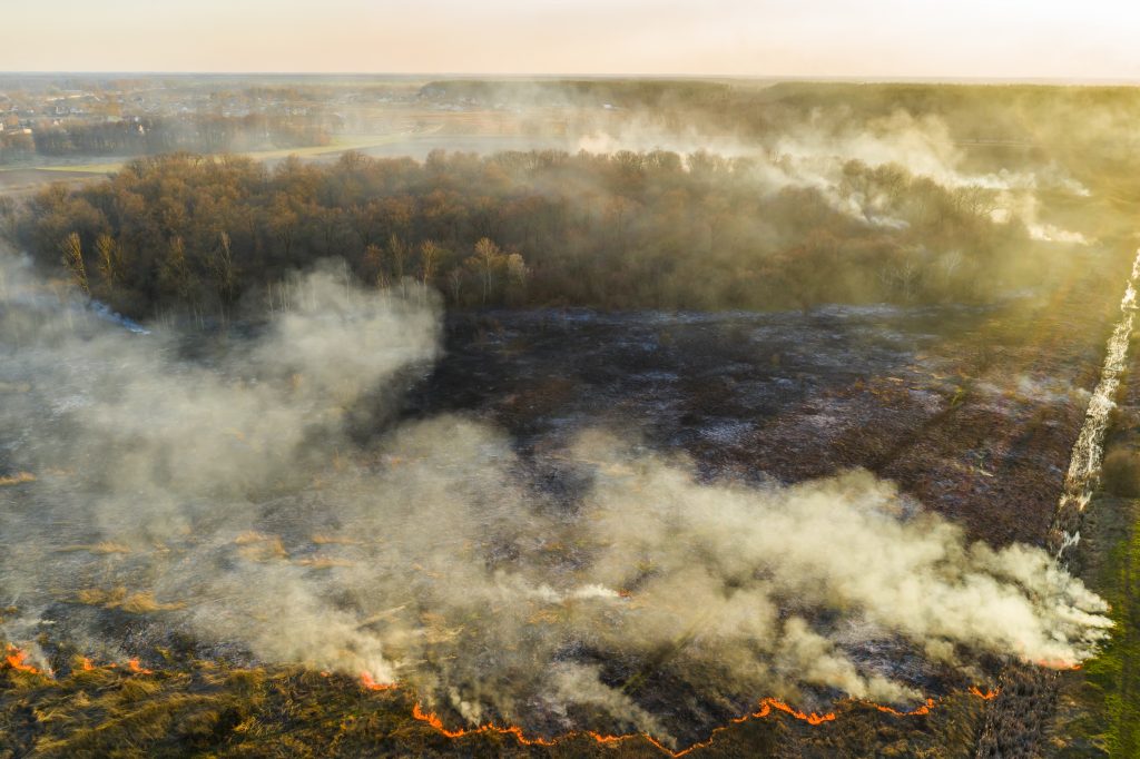 Health prevention guide during wildfires