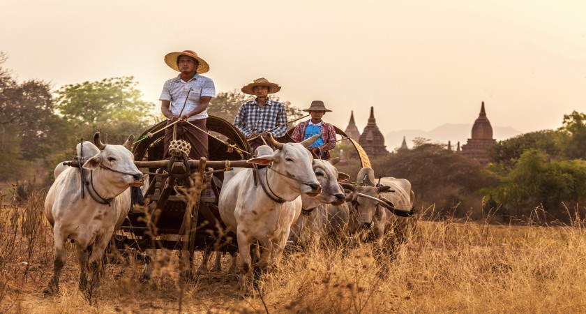 rural-transportation