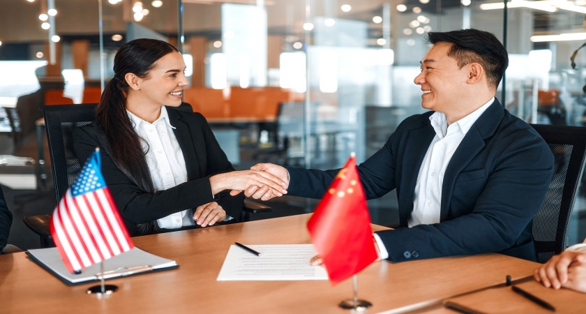 Professional Translation Service