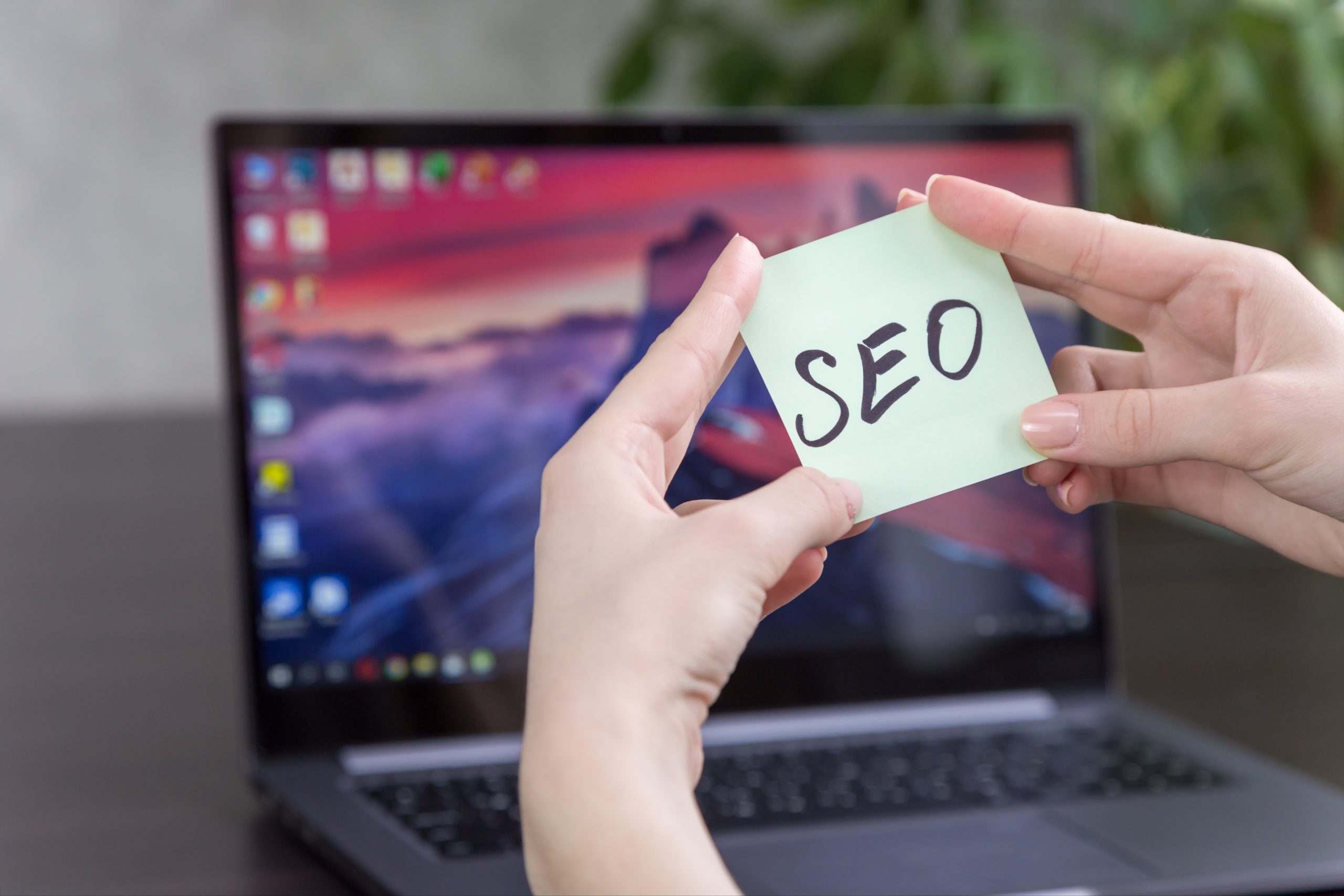 translation affects international SEO